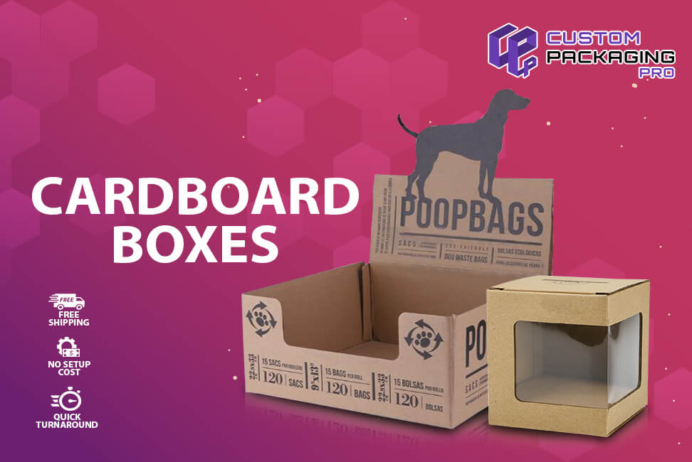 Stumbling Blocks of Your Cardboard Boxes