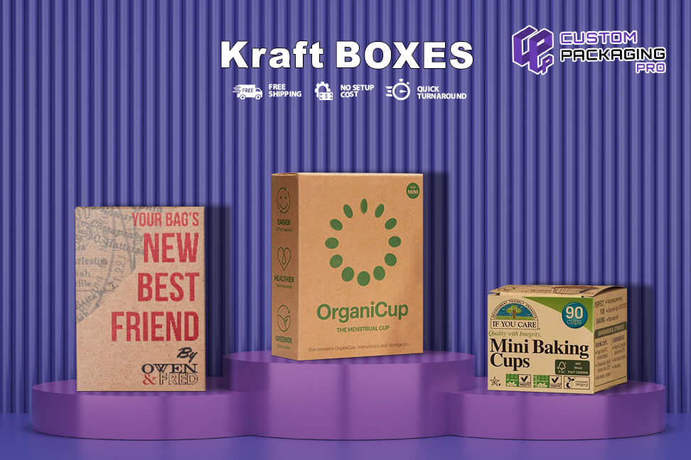 Kraft Boxes Designs and Interesting Facts