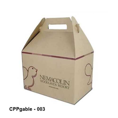 Printed Gable Packaging Boxes