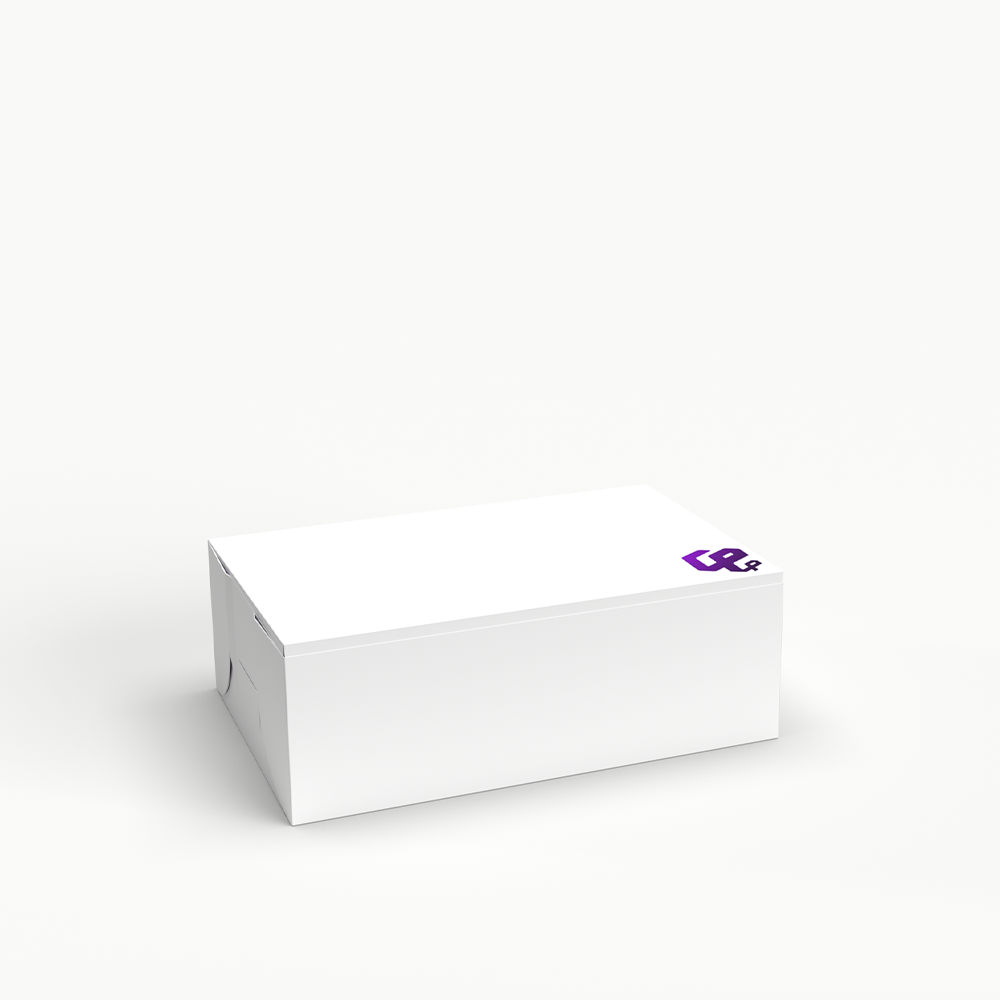 Self Lock Cake Box