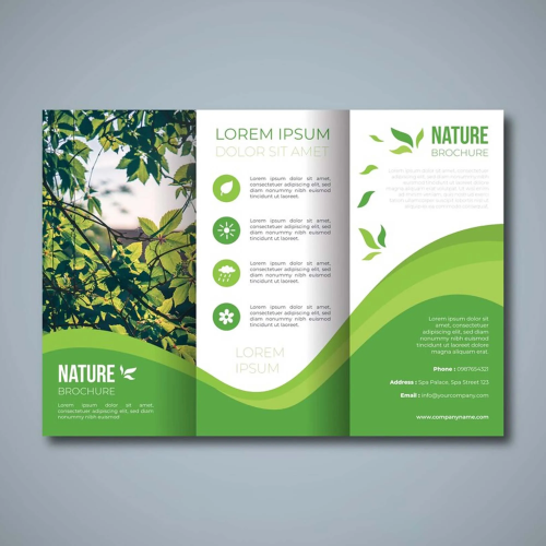 Custom Brochure Packaging.webp