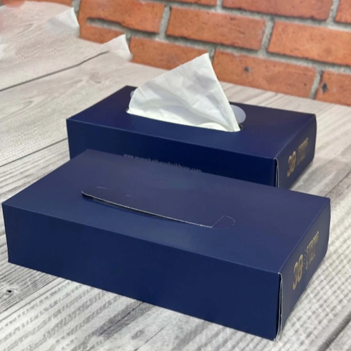 Custom Tissue Packaging.webp