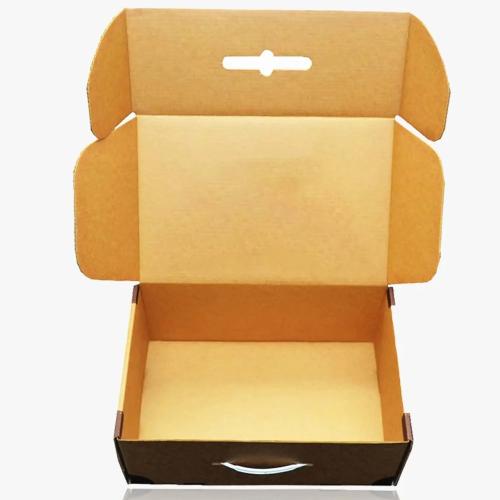 Suitcase Style Packaging.webp