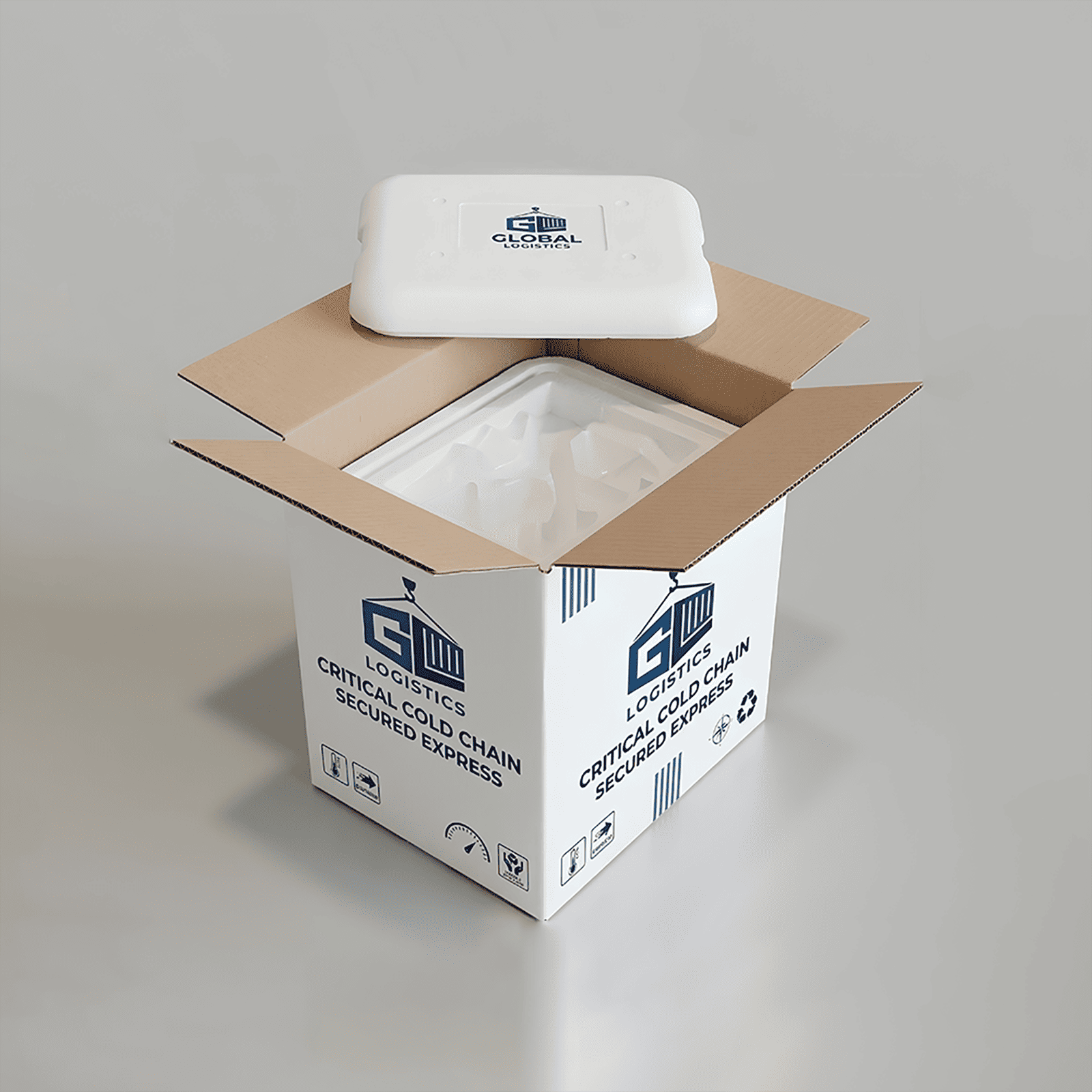 dry ice packaging boxes.png