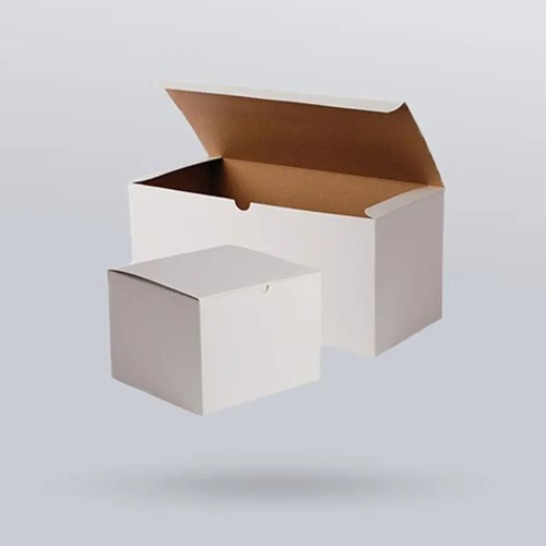 White Kraft Packaging.webp